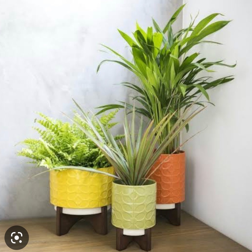 In Search Of….. ISO Orla Kiely planters!!